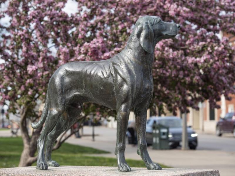 A statue of Old Drum is in the town square of Warrensburg, Missouri.