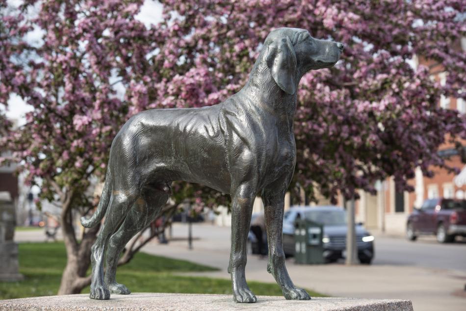A statue of Old Drum is in the town square of Warrensburg, Missouri.