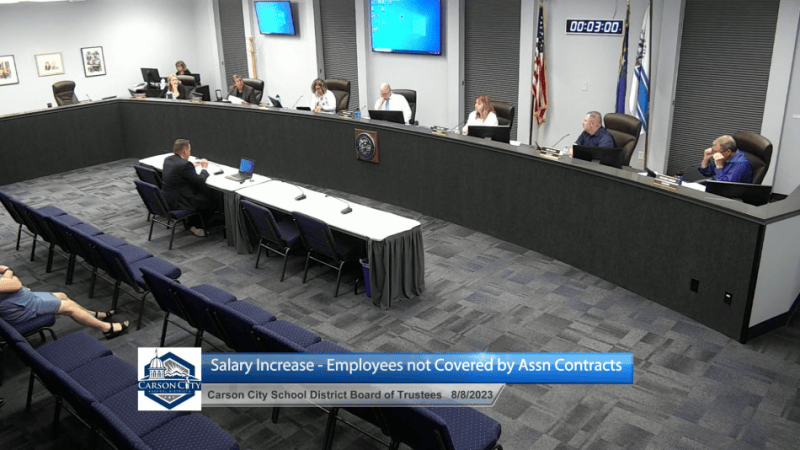 Screenshot from Carson City School Board meeting stream.