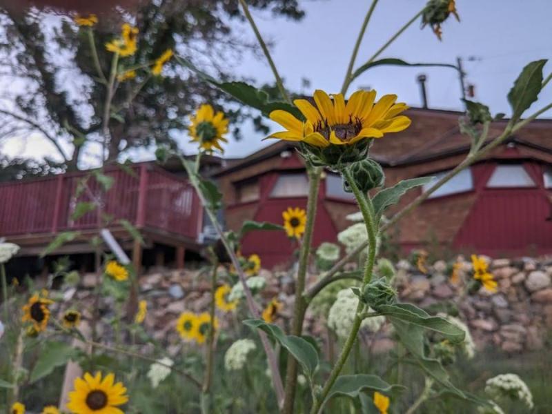 Comstock resident artist program pauses residencies for now