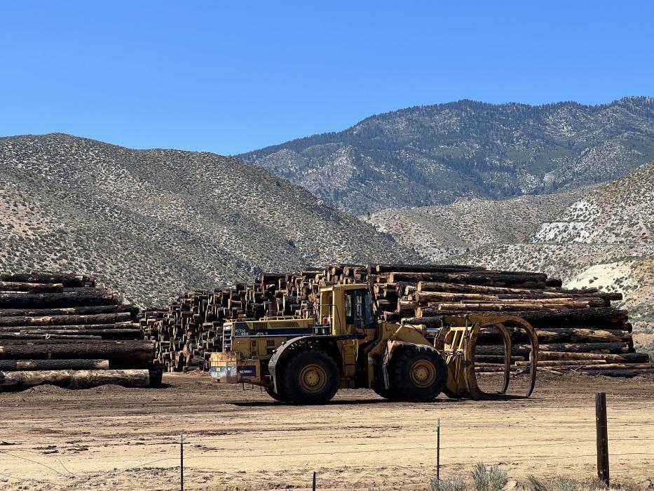File Photo of TFP's saw mill site
