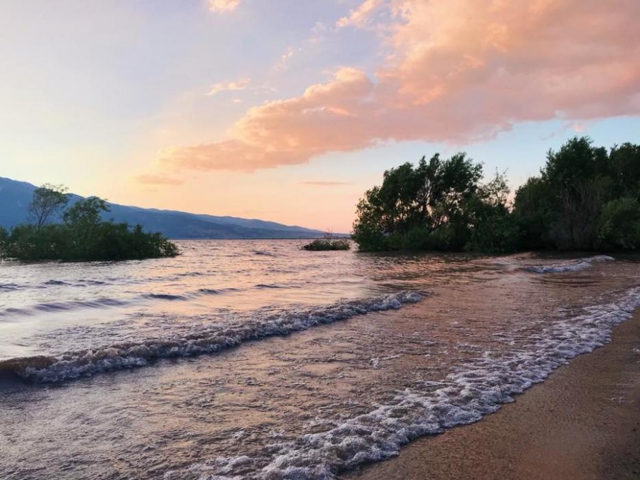 Family-friendly ‘Grief Sucks Burn’ event happening August 29 at Washoe State Park