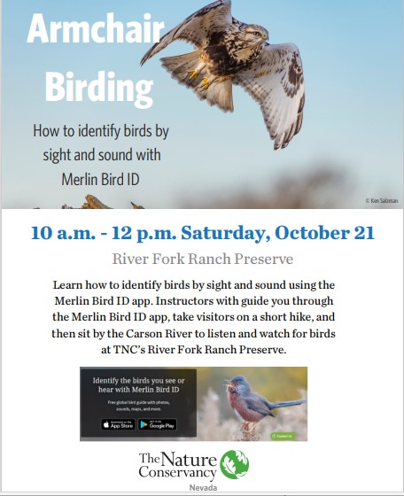Identify Birds by sight & sound with Merlin ID app!