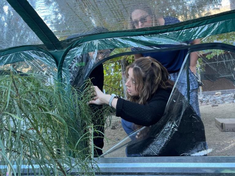 Adrienne Wiggins, K-5 Computer Science teacher, STEM coordinator at Empire Elementary shows a greenhouse.