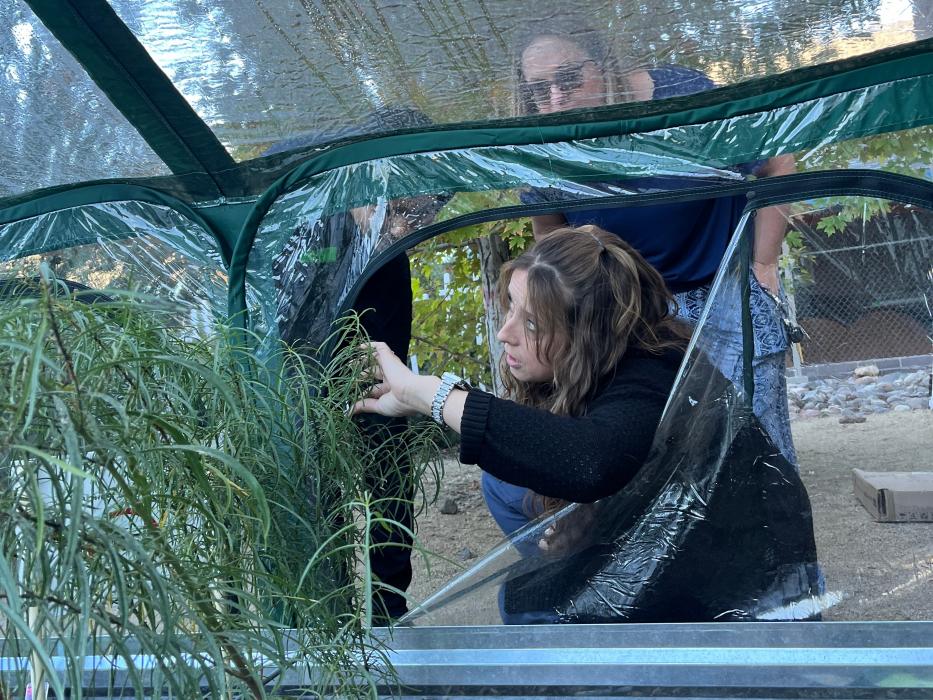 Adrienne Wiggins, K-5 Computer Science teacher, STEM coordinator at Empire Elementary shows a greenhouse.