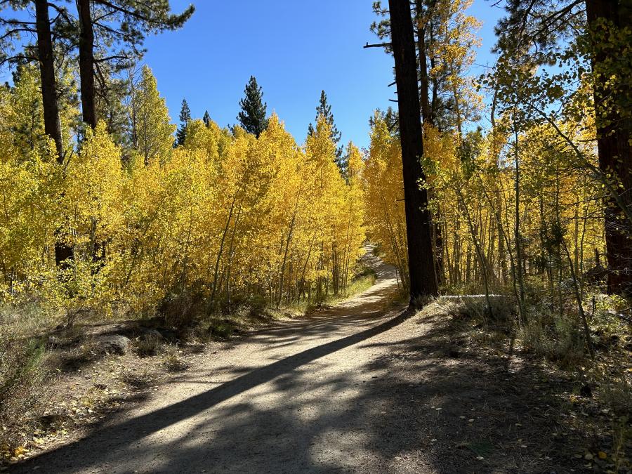 Fall in the High Sierras