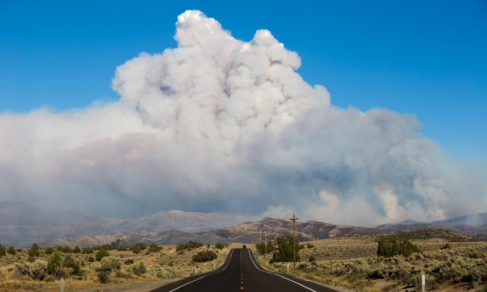 Smoke rises from the Numbers Fire behind Pinenut Road in Gardnerville on July 7, 2020. (Trevor Bexon/The Nevada Independent)