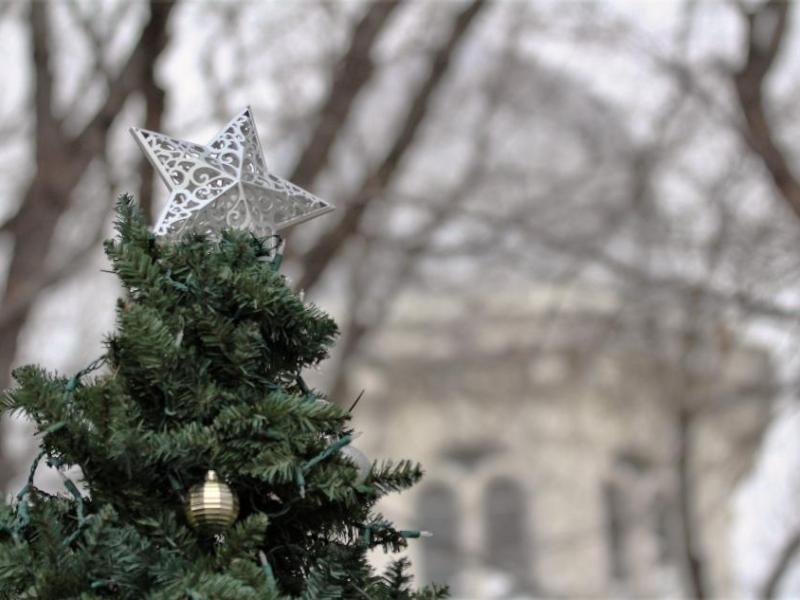 Keep your dollars at home this holiday season. Small businesses give our community a sense of place.