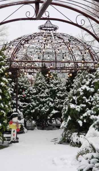 Christmas tree proceeds help community programs in the Dayton area