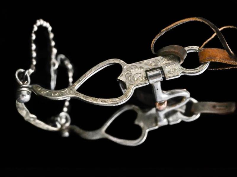 "Silver Bit” Mikayla Jones