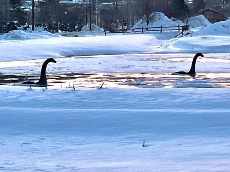 File Photo of Carson Cassie et al enjoying last year’s snowy winter