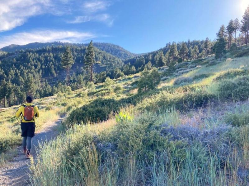 What’s happening Wednesday around Carson City and beyond
