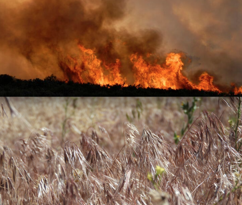 Stage 1 fire restrictions in Western Nevada begin Monday