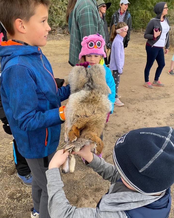 Coyote Walk