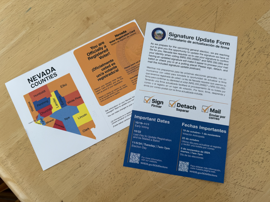 What voters received in the mail in Carson City