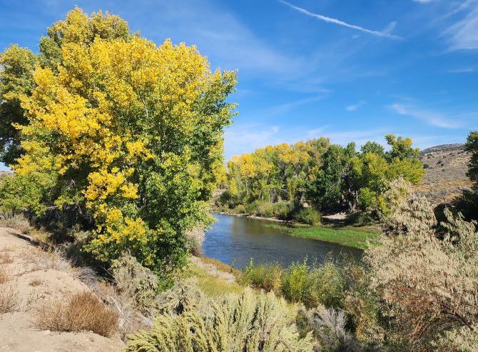Fall colors