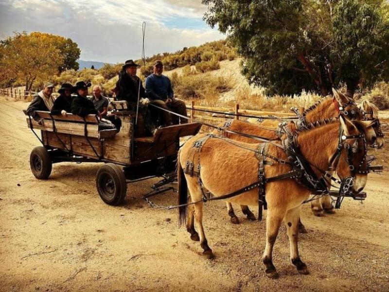 Friends of Silver Saddle Ranch Mule Ride