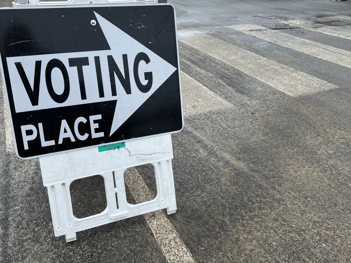 Petition seeks voter approval for city purchases topping $10 million