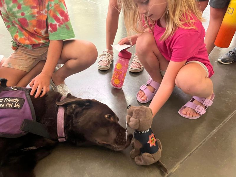 Tofi, a chocolate lab lays on the ground surrounded by children. She has a vest on that says "I'm friendly please pet me." A child hands her a small stuffed dog.
