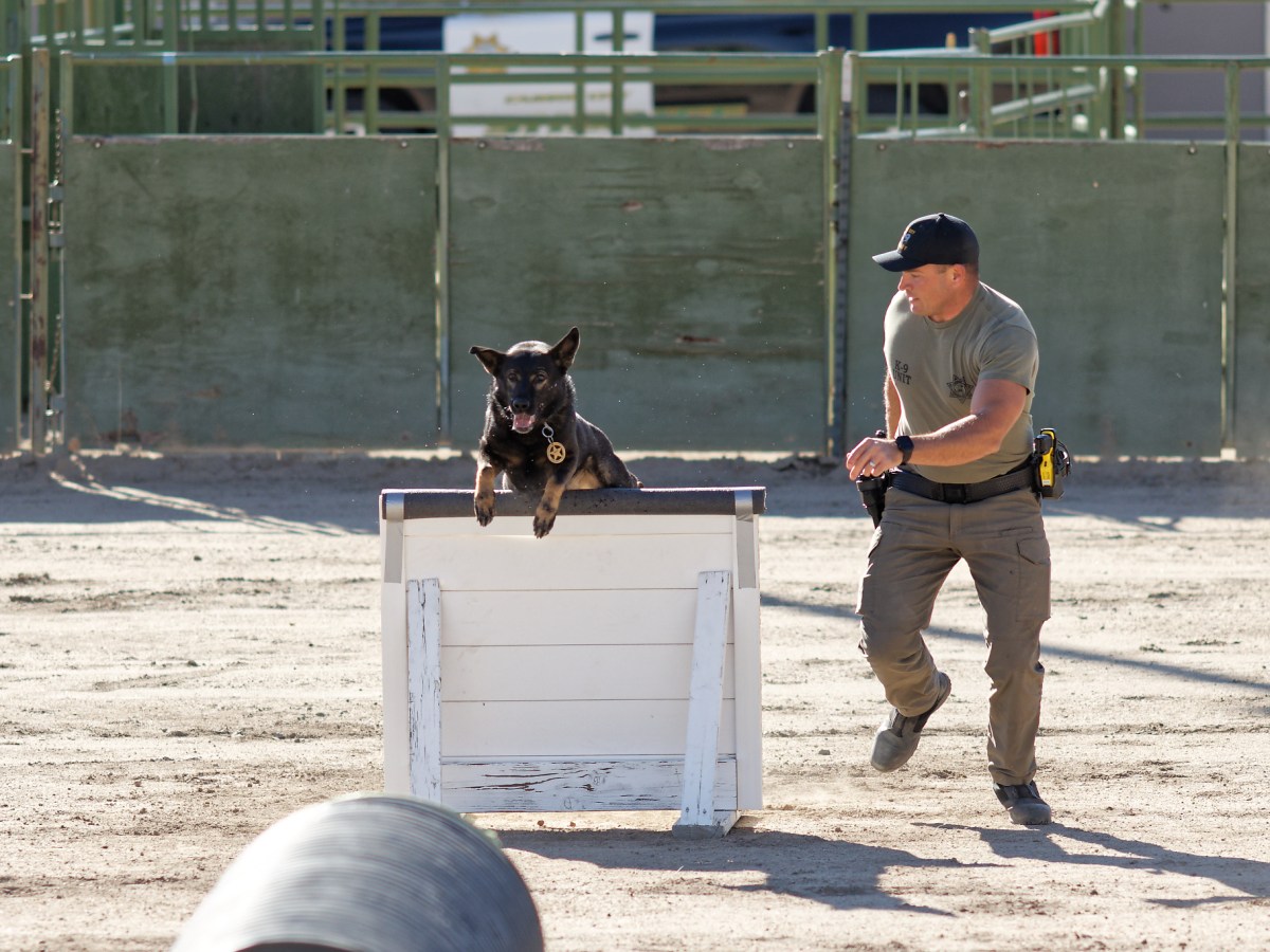 Community invited to Saturday’s 5th annual Carson City Sheriff’s Office K9 Challenge