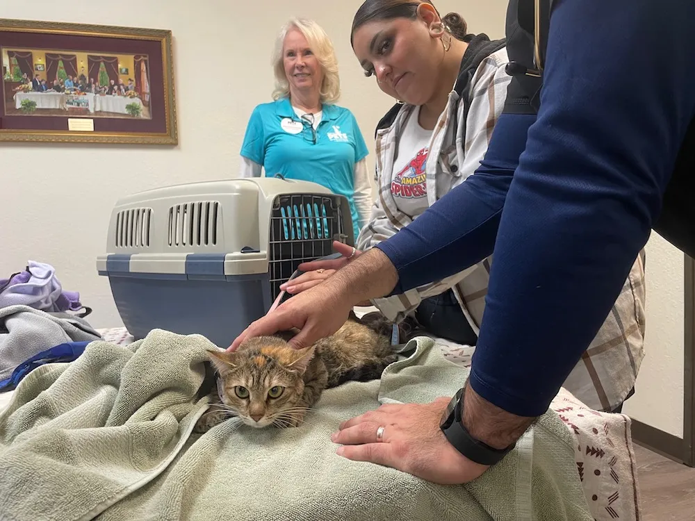 Feeding Pets of the Homeless launches online application for emergency veterinary care