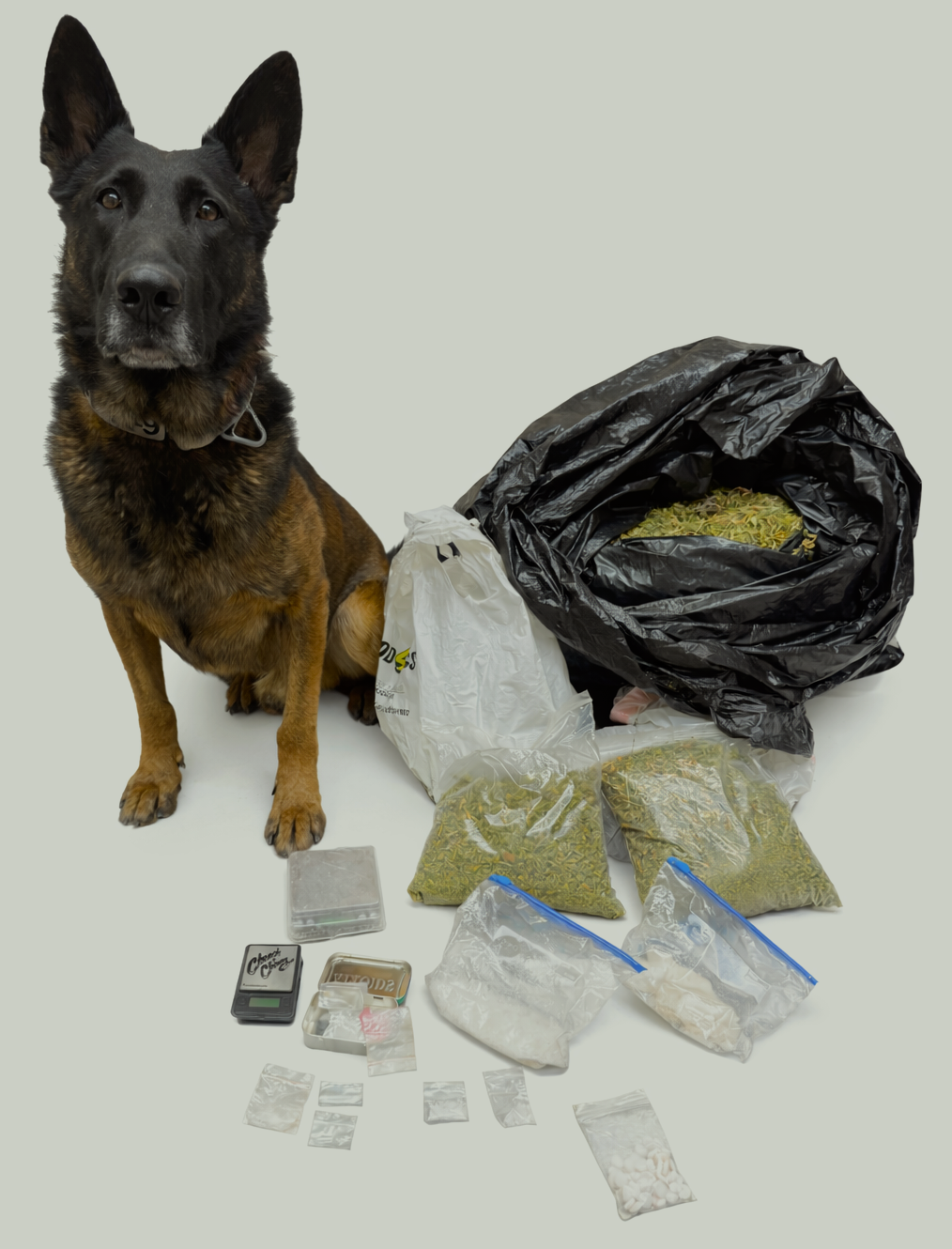 Traffic stop by Lyon County deputies leads to arrests for half pound of meth, 15 pounds marijuana