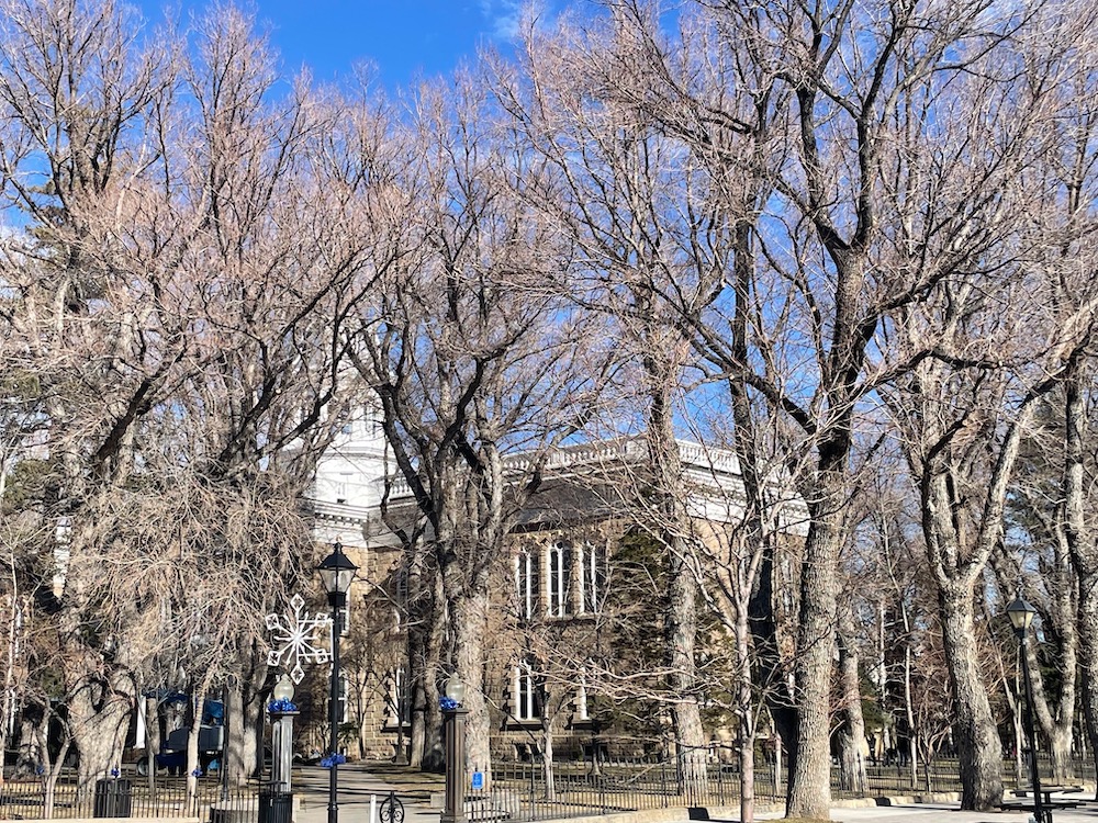 Events happening around Carson City and beyond Saturday, Jan. 24