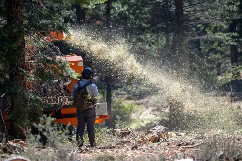 Tahoe Regional Planning Agency considers new forest health standards