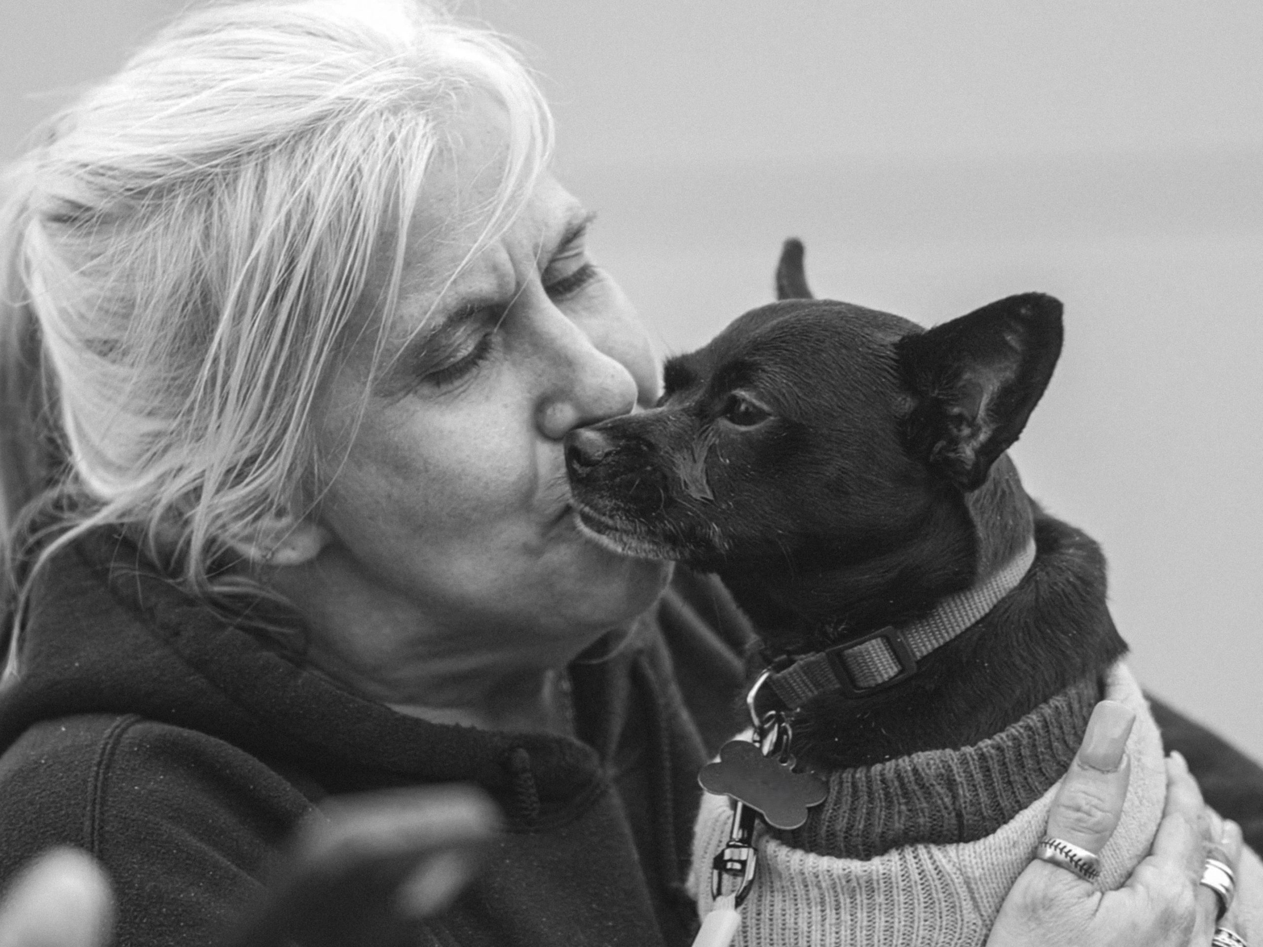 Feeding Pets of the Homeless announces ‘Corporate Community PAWtnership’