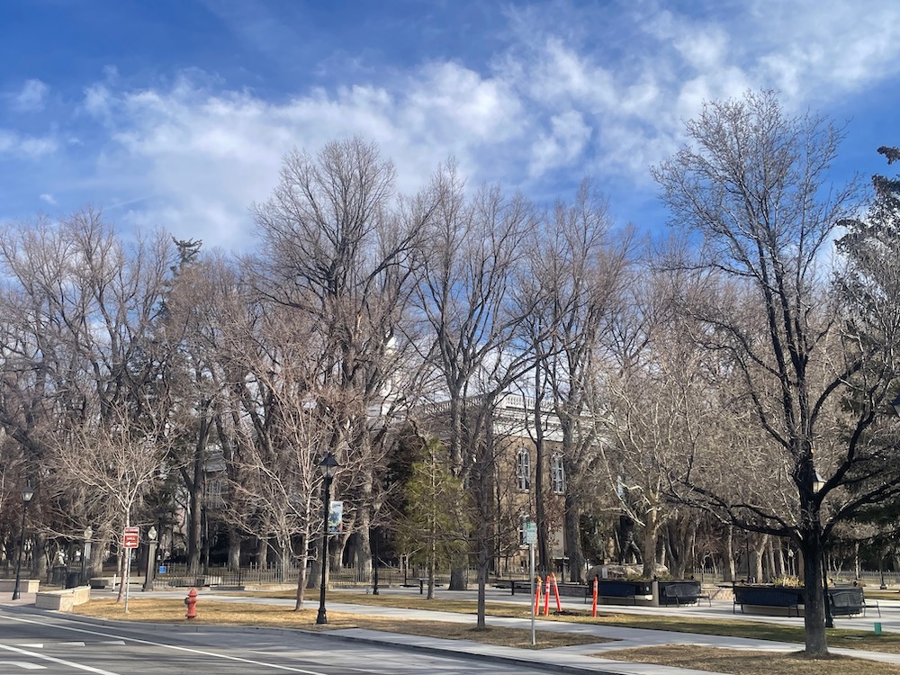 Events and happenings Sunday around Carson City