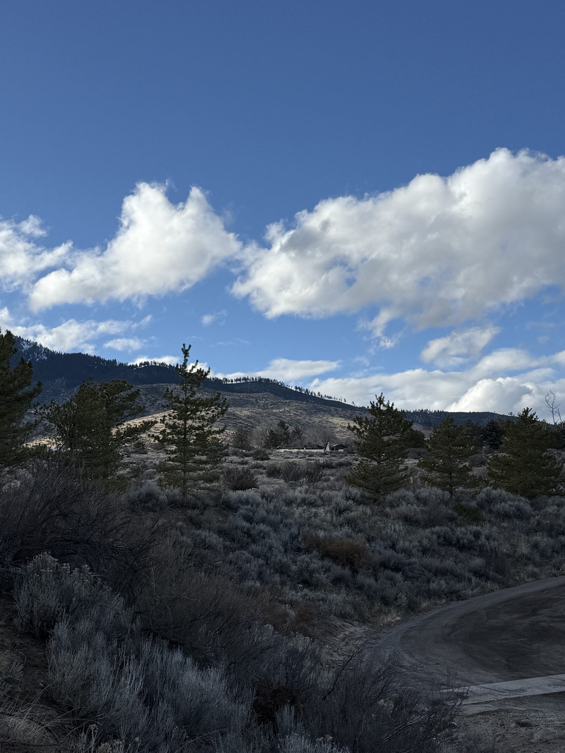 Thursday events in Carson City