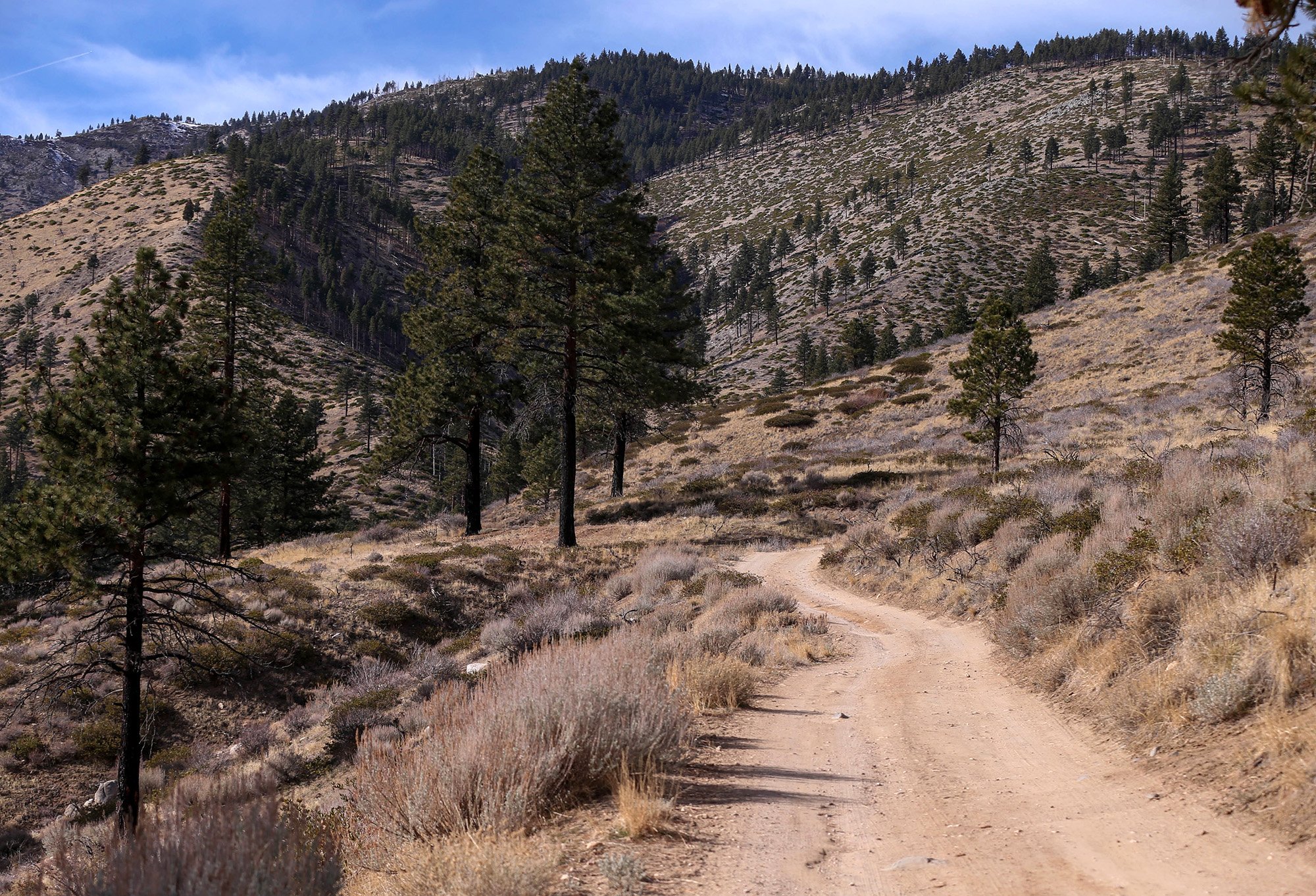 Carson City to discuss 81-acre Ash Canyon purchase, court expansion and charging public for records requests