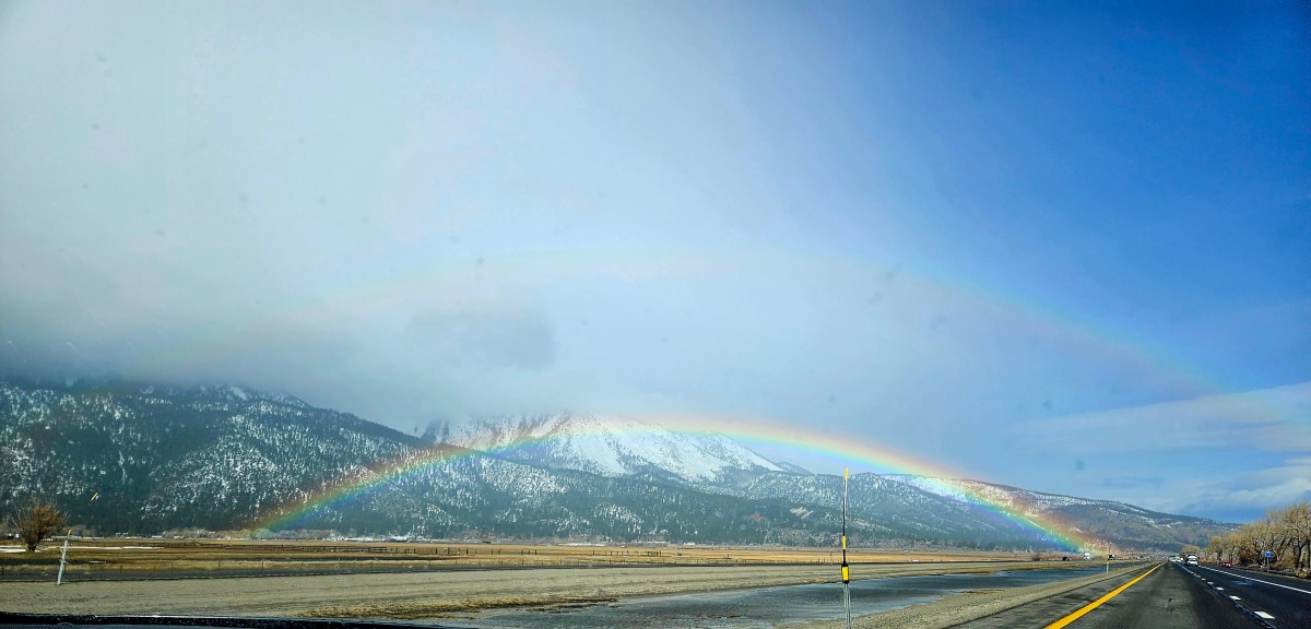Reader photo: A piece of Nevada’s beauty