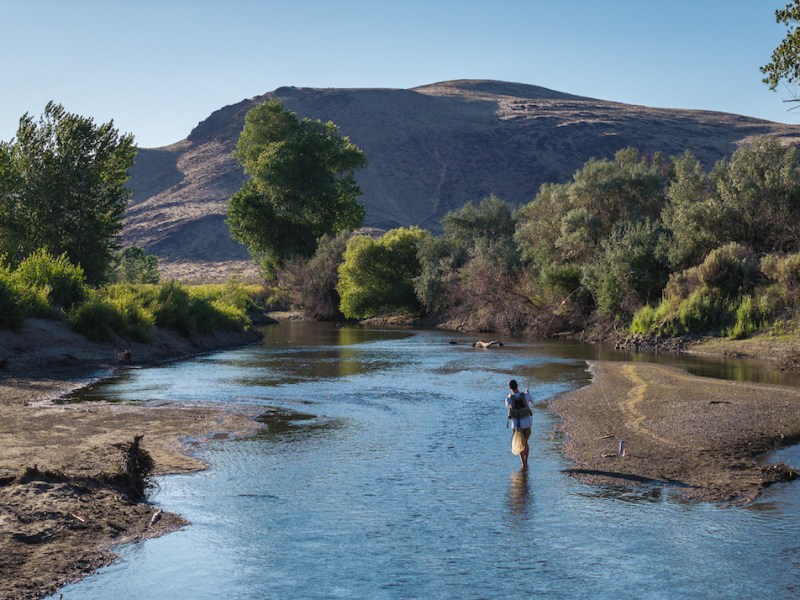 Fishing report: Best catches in the mornings around Caples, Topaz and along the Carson River