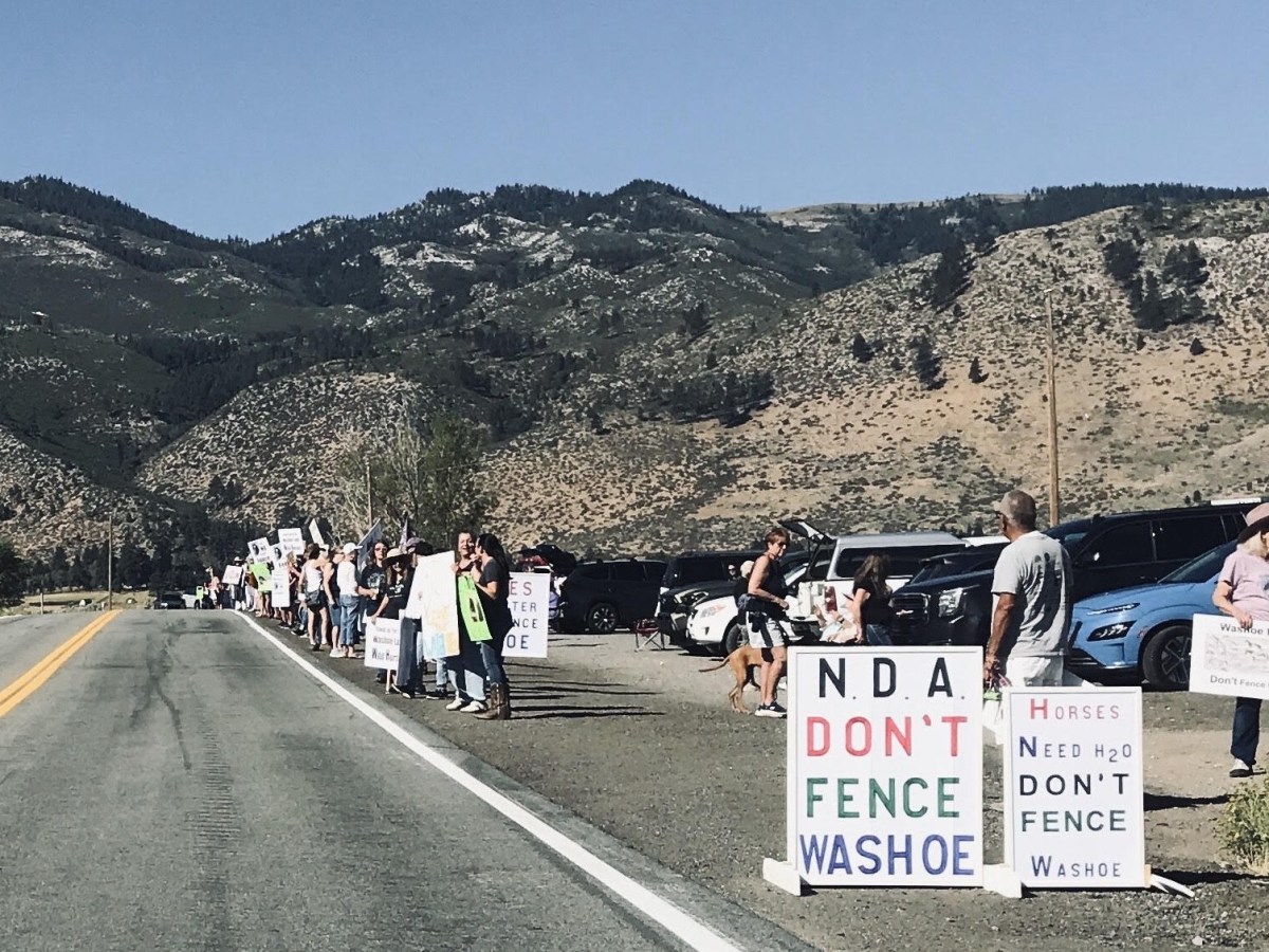 Reader Report: Washoe Lake area residents protest horse fence at Saturday gathering