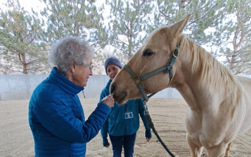 Equine guided memory workshops hosted by Minden’s Kids & Horses offered this fall