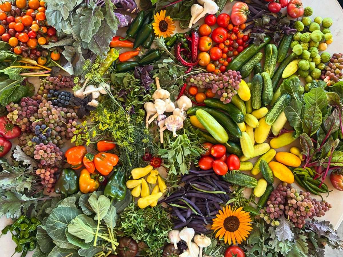 Online auction launches today ahead of Grateful Harvest Dinner to benefit The Greenhouse Project in Carson City