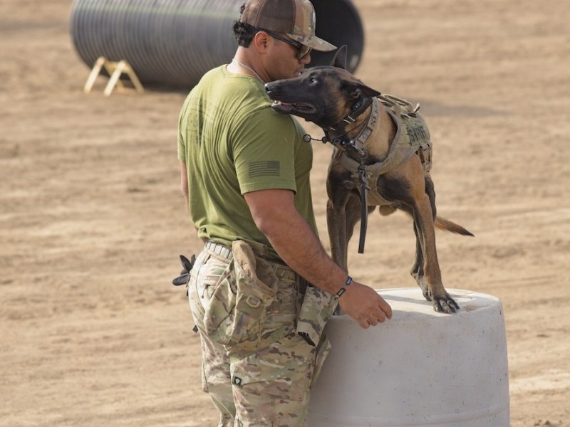 Local photographer captures Saturday’s action at the K9 Unit Challenge in Carson City