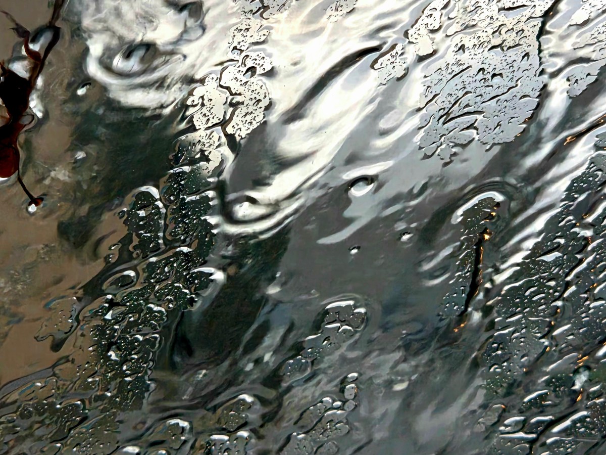 Reader Photo: Wednesday Afternoon Deluge