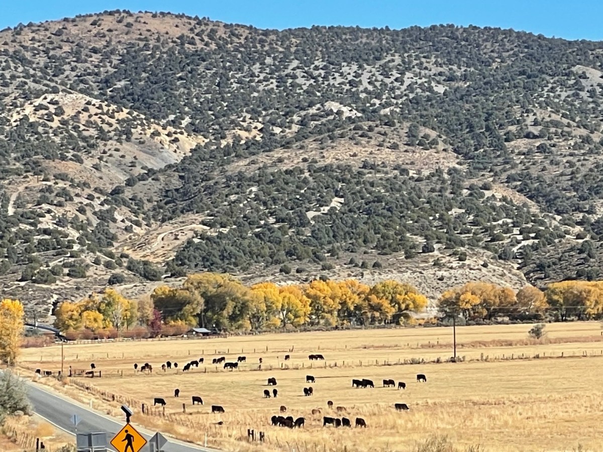 What’s happening Monday around Carson City and beyond