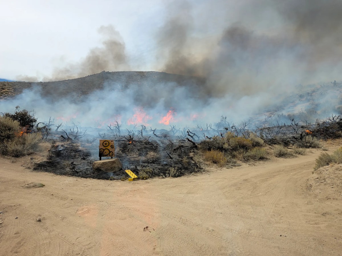 Secret Witness offers reward for persons responsible for Goni Fire in Carson City