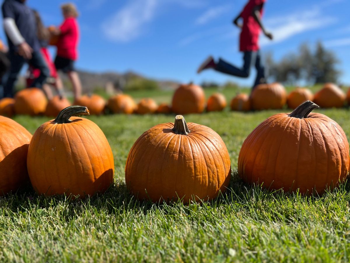 32nd Pumpkin Patch fall festival happening Saturday at Carson City’s Seeliger Elementary