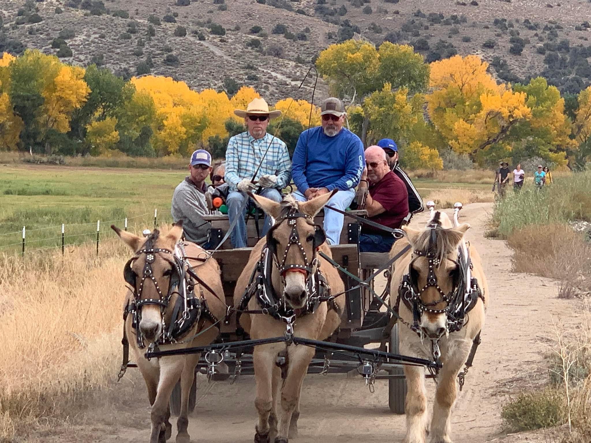 Carson City to celebrate 30th anniversary of Quality of Life Initiative Saturday at Silver Saddle Ranch